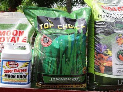 Winter ryegrass seed and starter kit
