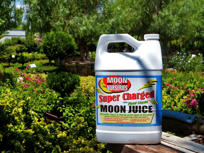Moon juice 