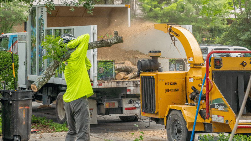 Tree Services At Moon Valley Nurseries