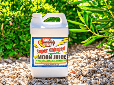 Super Charged Moon Juice tree food for sale at Moon Valley Nurseries