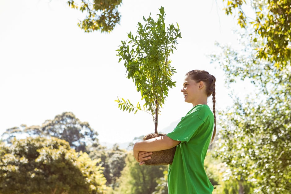 Why Should You Plant Trees in Arizona