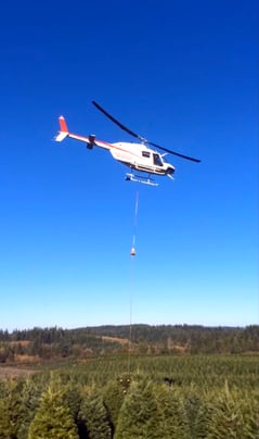 christmas_tree_helicopter_lift