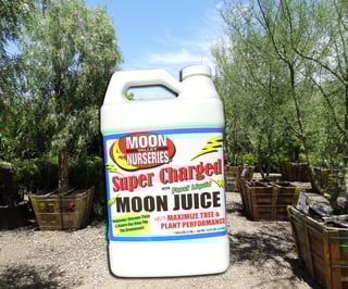 Moon Valley Nursery - Blog