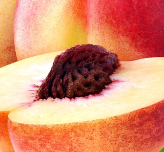 stone_fruit_pit stone_fruit_pit