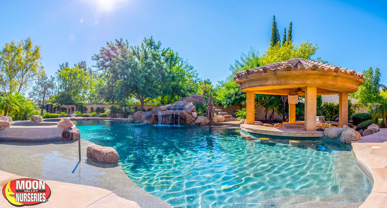 blog_main_pic_landscaping_around_pools_CA_TX