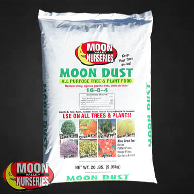 MOON DUST