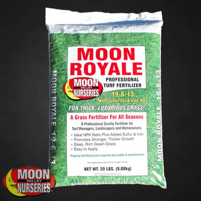 MOON ROYAL