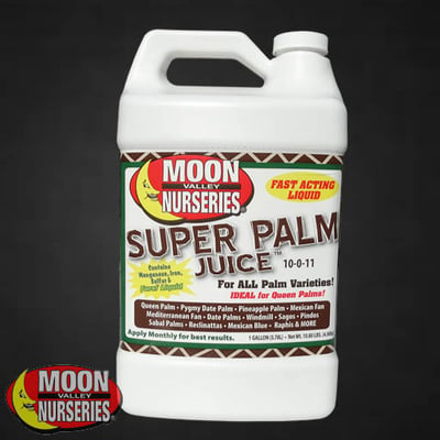 PALM JUICE