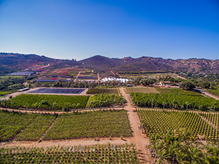 fallbrook_grow_farm