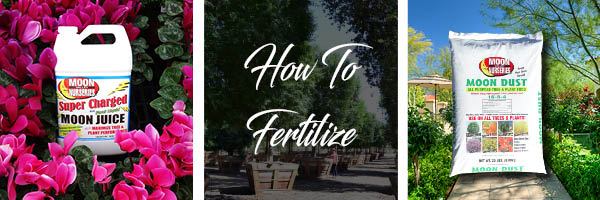 fertilize
