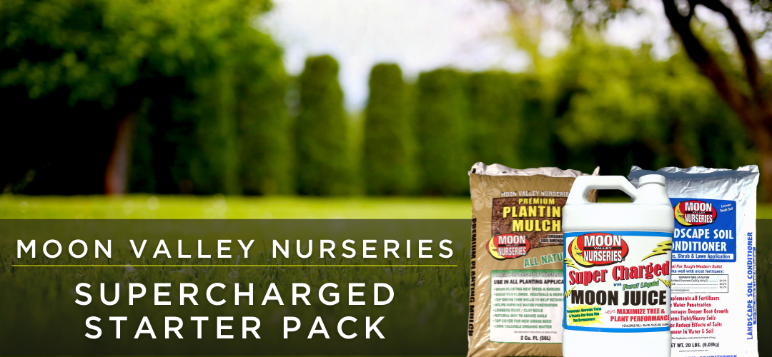 Moon Valley Nurseries Guide Supercharged Starter Pack