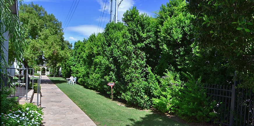 Landmark wedding venue after hedge planting