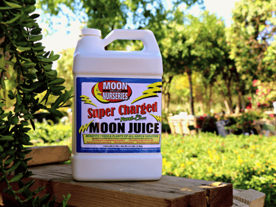 Super Charged Moon Juice™ at Moon Valley Nurseries