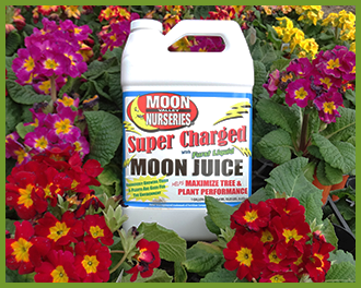moon-juice-3.png