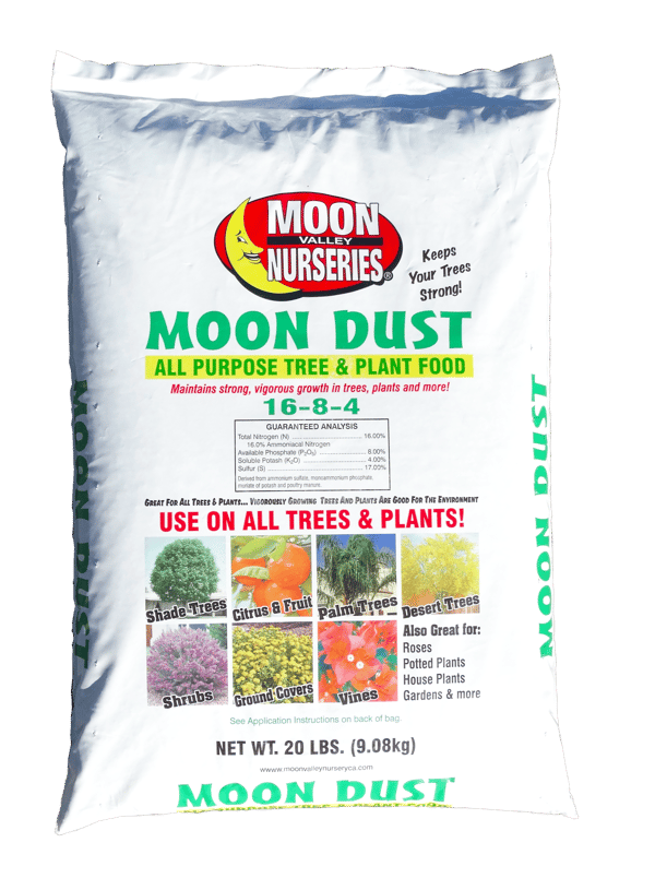 moon_dust-2