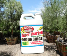 Super Moon Juice