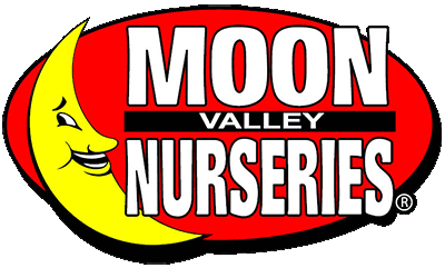 moonvalley_logo