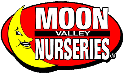 Moon Valley Nursery Arizona Blog This Year Commemorates A Significant Milestone For Moon Valley We Have Been Growing Trees Creating And Rebuilding Landscapes Changing Lives 25