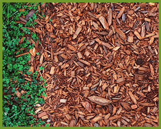 mulch mulch