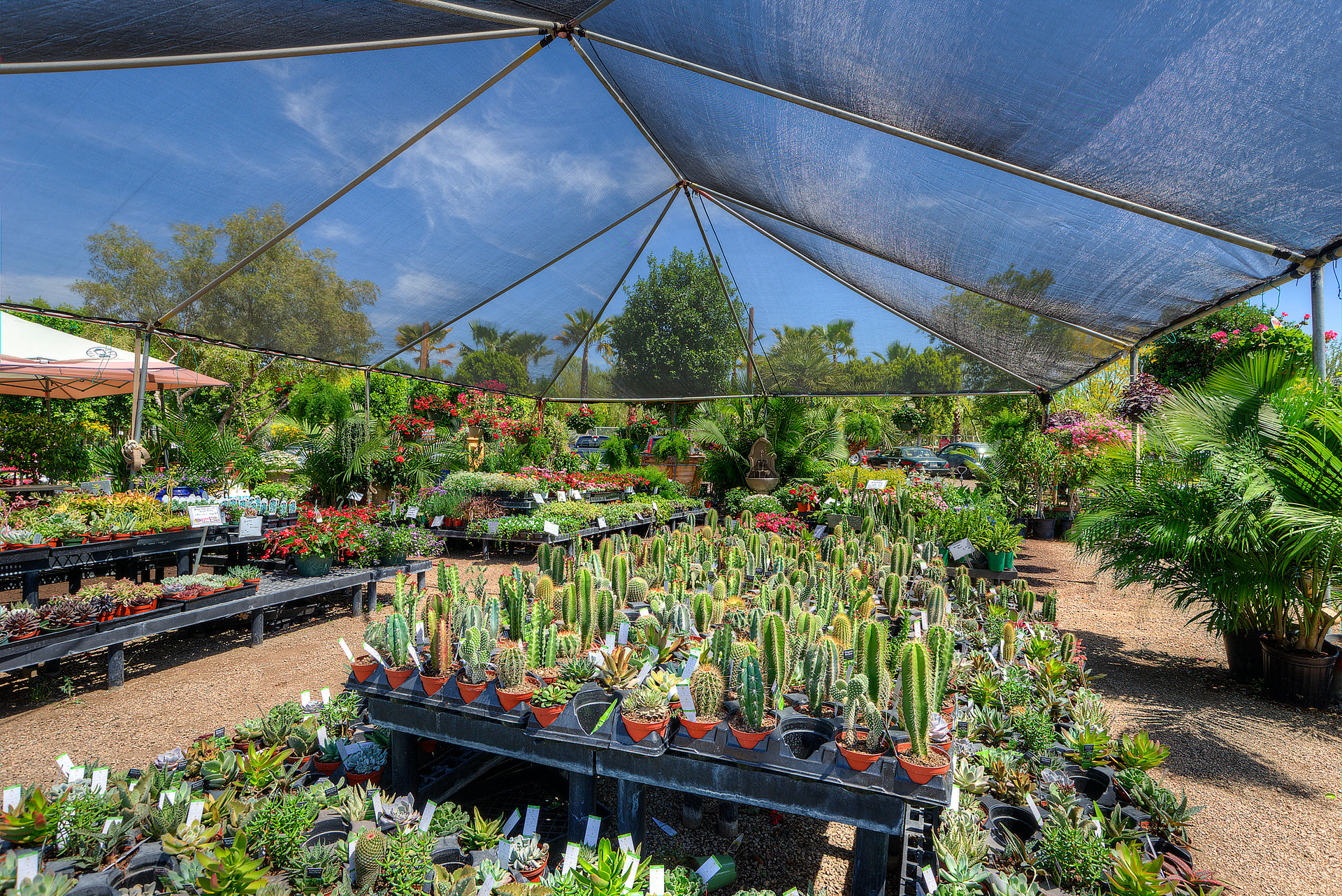 VIP Service - The Moon Valley Nurseries Way!