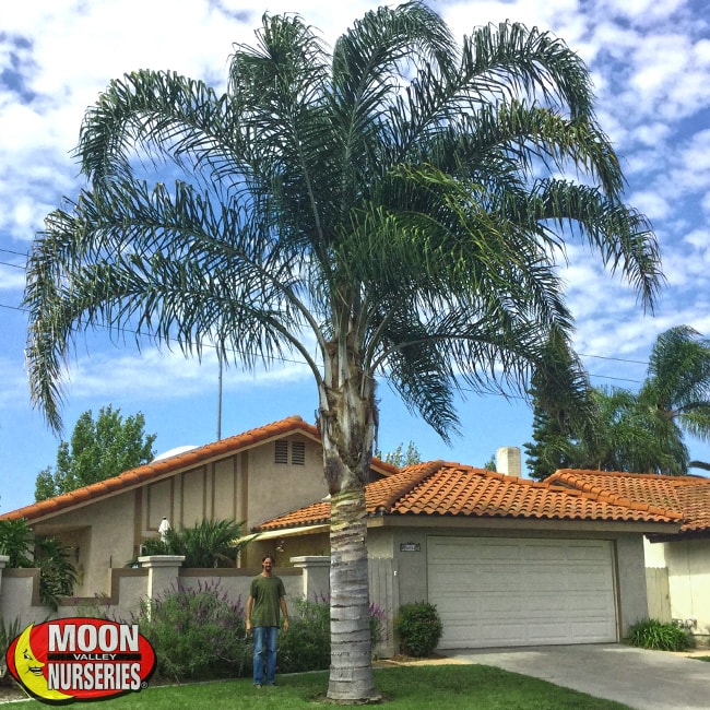 Get Outside With These 5 Late Spring Yard Projects