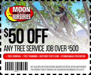 moon valley nurseries, arizona, phoenix, mesa, scottsdale, cave creek, gilbert, tempe, chandler, glendale, surprise, peoria