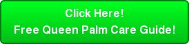 Click Here! Free Queen Palm Care Guide!
