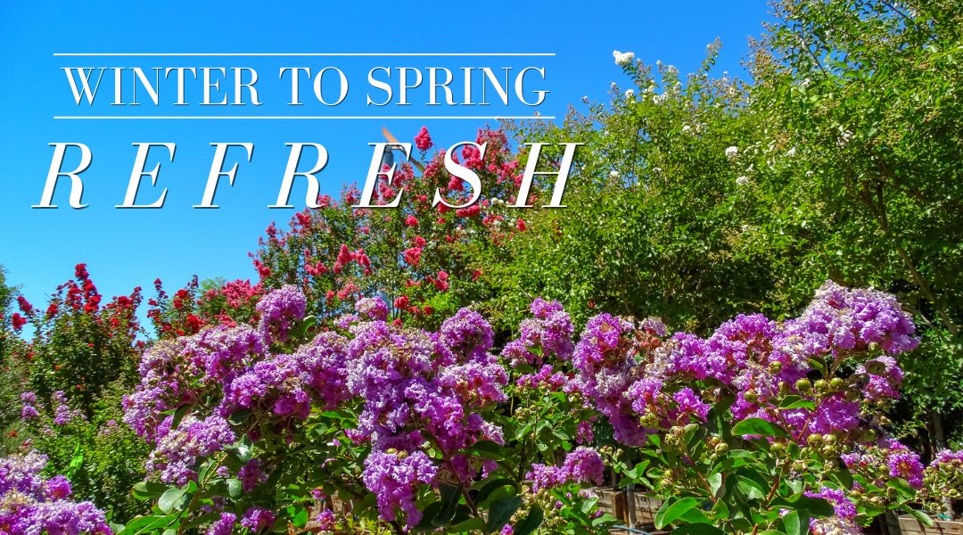 The Winter to Spring Refresh Collection