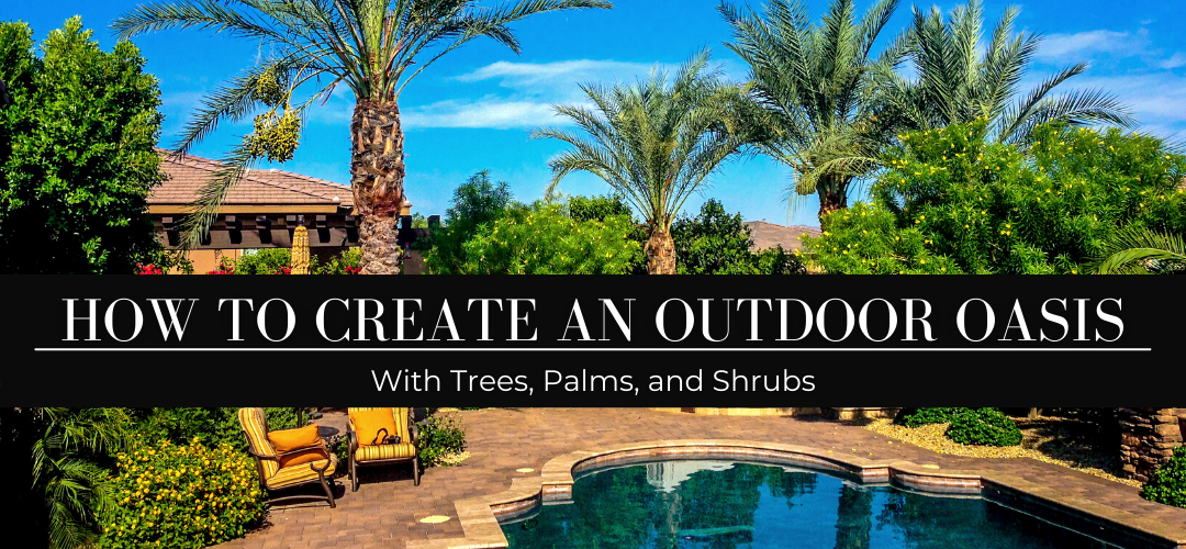 How to create a tropical oasis  with trees, palms, and shrubs