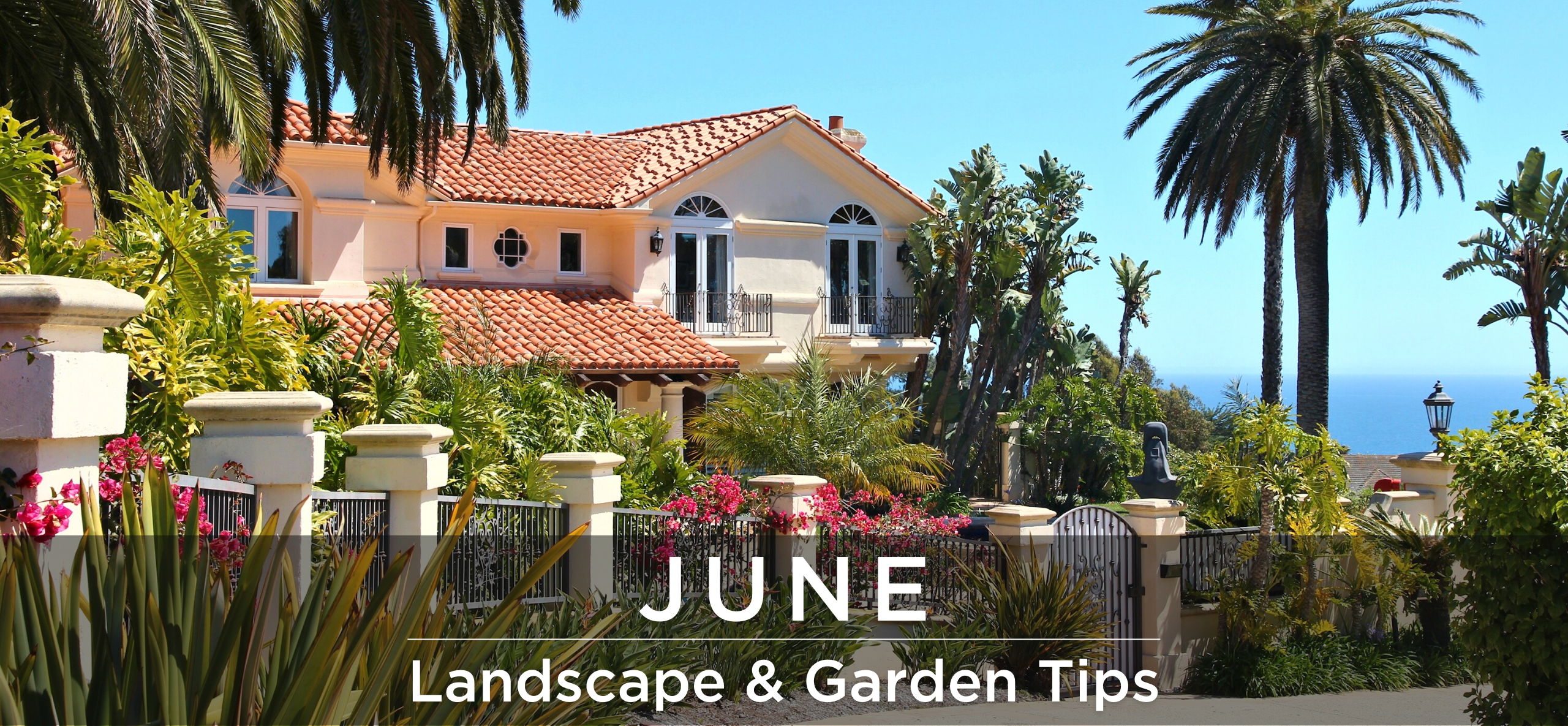 June landscape and garden tips header