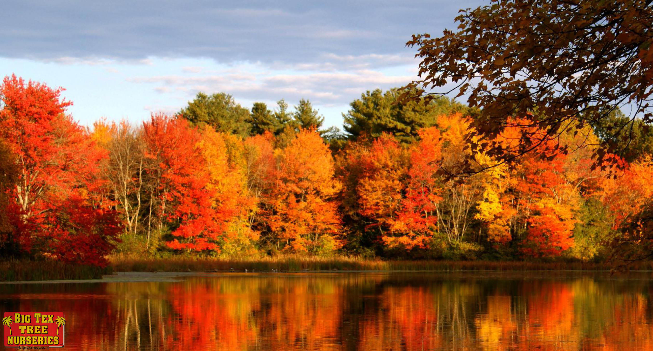 Fall Colors Wallpapers Background (73+ background pictures)
