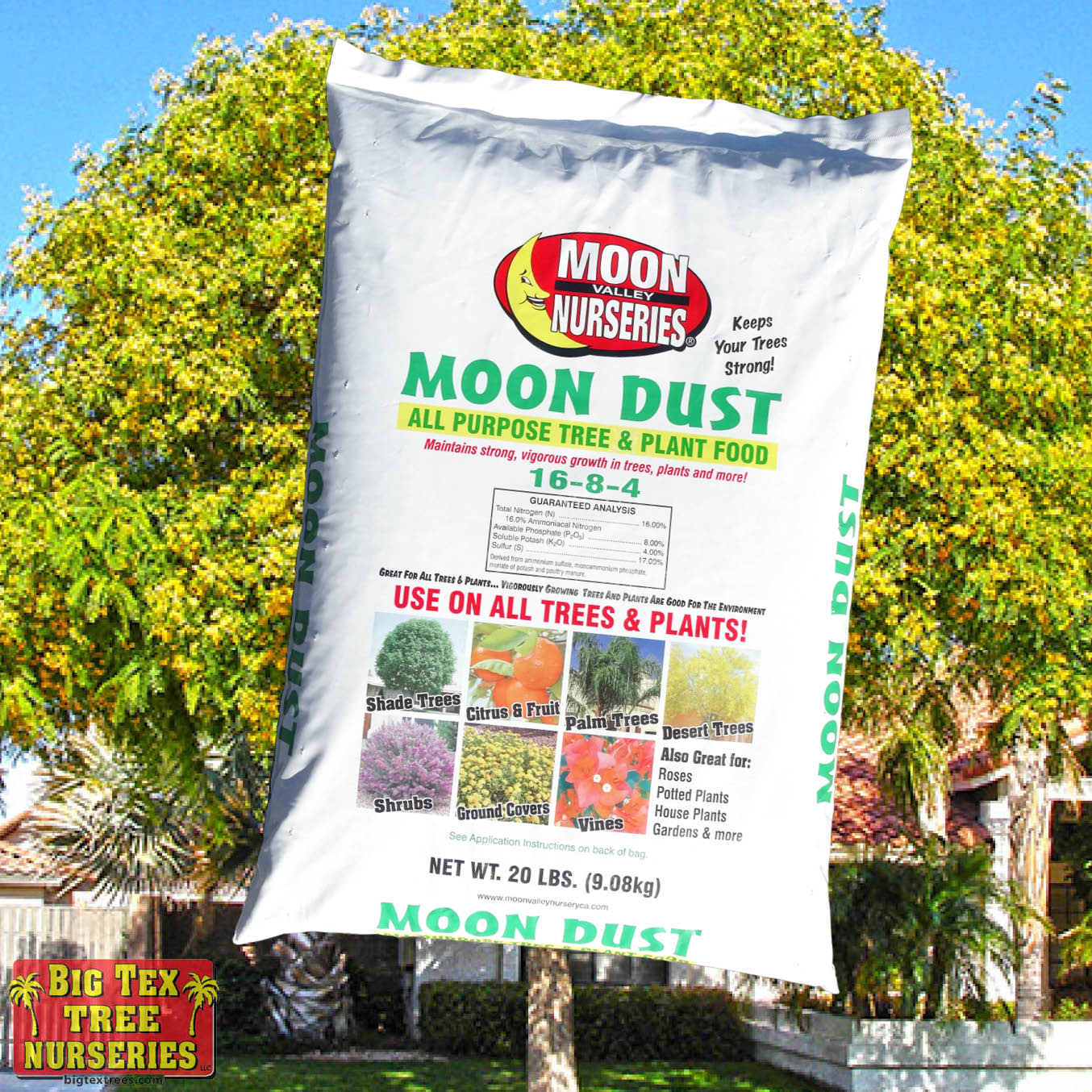 Moon Dust