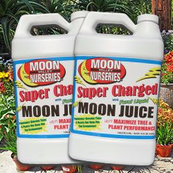 Moon Juice