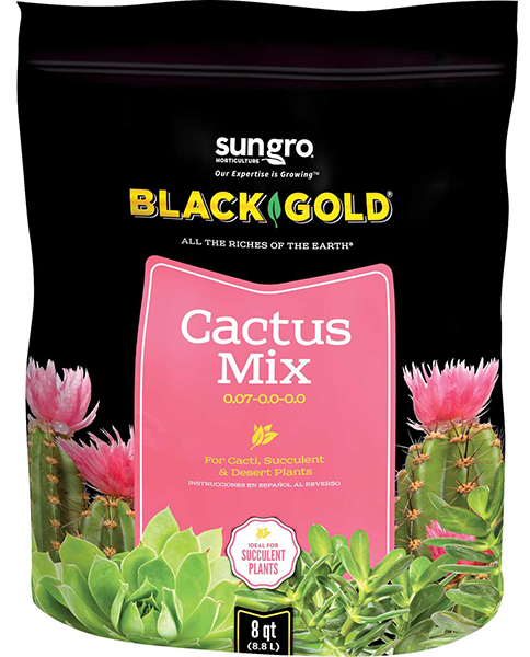 BlackGoldCactusMix.jpg