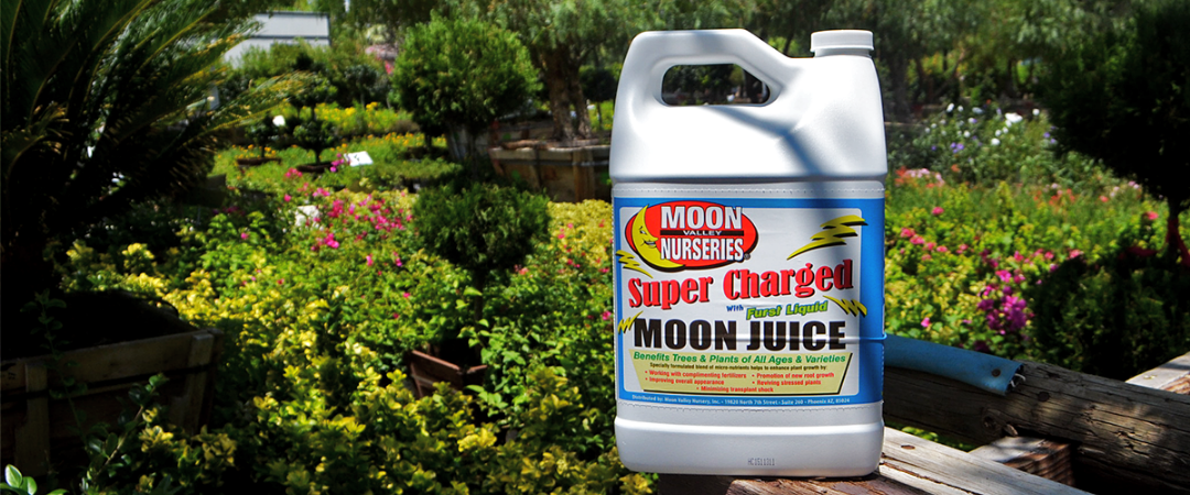 Moon juice plant food at Moon Valley Nurseries