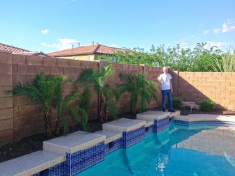 Small Palm Trees For Your Pool