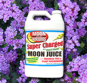 moon juice shrubs