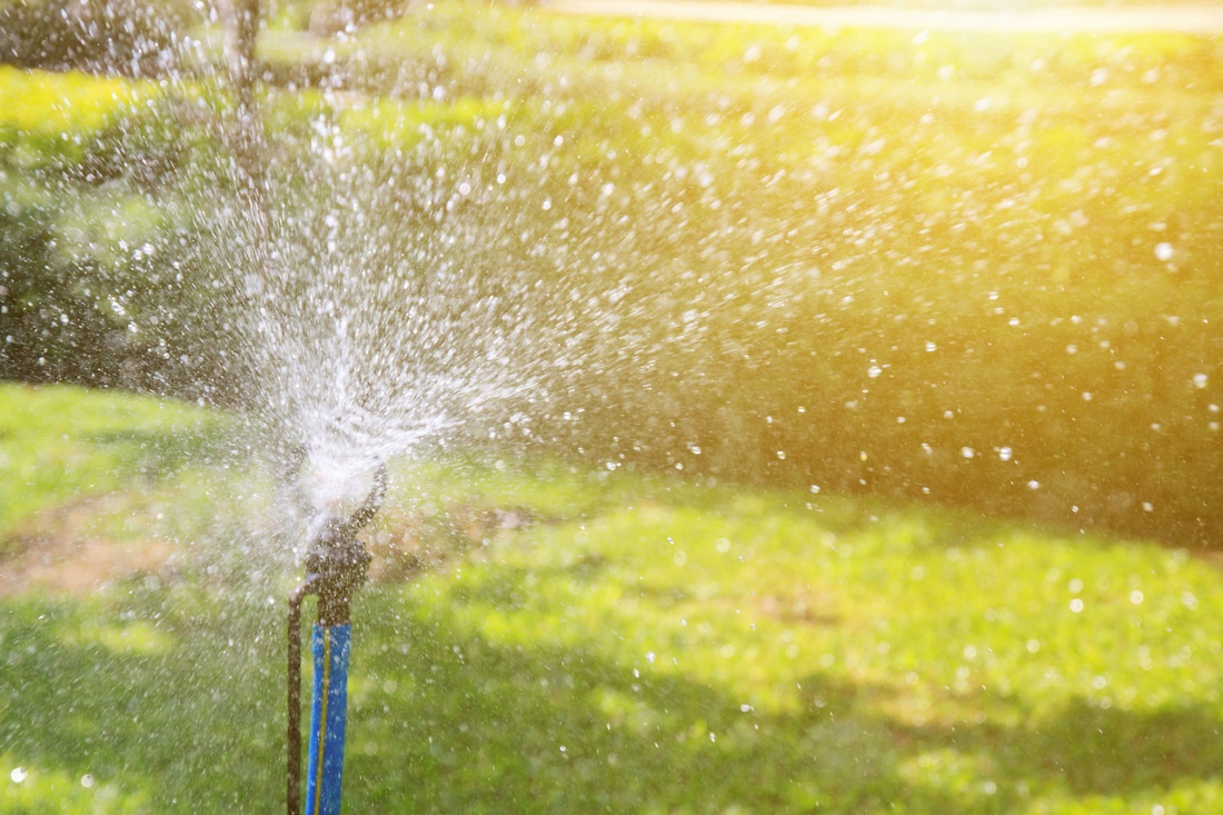 Winter Watering 101